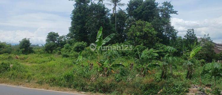 Tanah di Waluyo Jati, Pringsewu Lampung SHM 5.430 m² 1