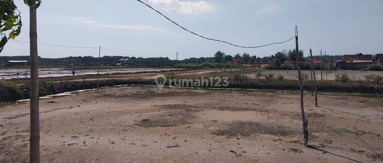 Tambak Garam Luas di Rembang 1