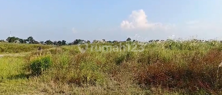 For Sale Large Land in a Strategic Location in the Marina Area of Semarang 1