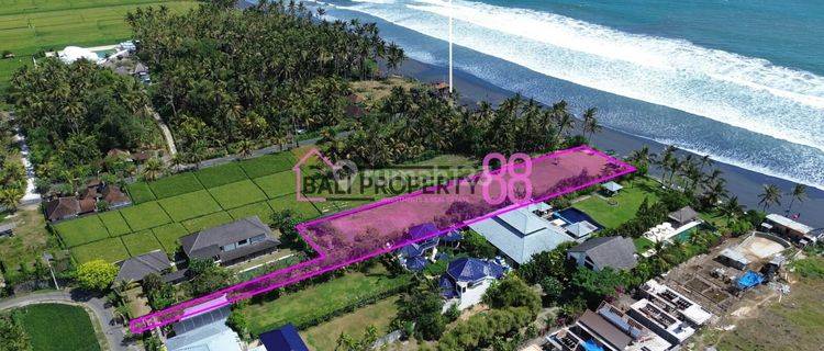 Land for Sale Pasut Beach Tabanan 3460 M2 1