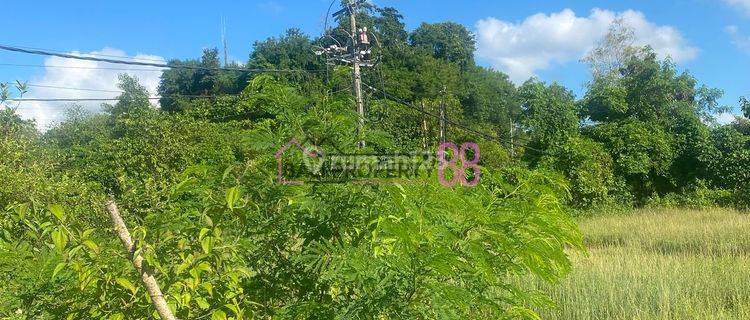 Jual tanah ungasan premium karma kandara LT 1300 m2 1