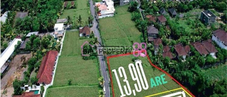 Jual Tanah Keramas Gianyar Lt 1390 M2 1