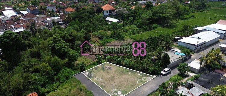 Denpasar Cultivation Land for sale Lt 400 M2 1