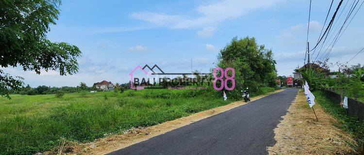 Jual Tanah Jalan Utama Pantai Kelating Lt 3550 M2 1