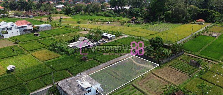 Denpasar Cultivation Land for sale Lt 600 M2 1