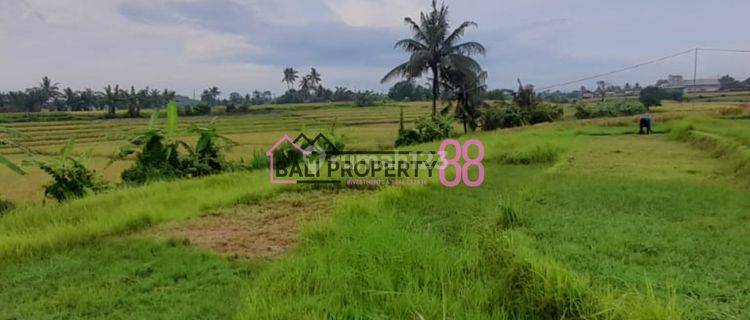 Dijual Tanah Di Pantai Nyanyi, Tabanan 1