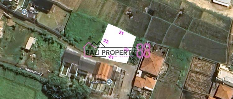 Jual Tanah Pantai Cemagi Badung Bali Lt 430 M2 1