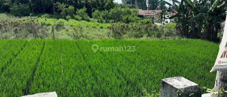 Tanah Kosong Pinggir Jalan Batang Kuis Lubuk Pakam. Desa Tumpatan Nibung, Deli Serdang 1