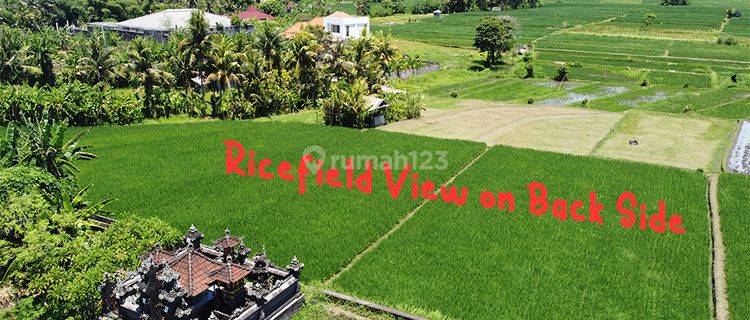 Urgent Good Land For Villa With Ricefield View  1