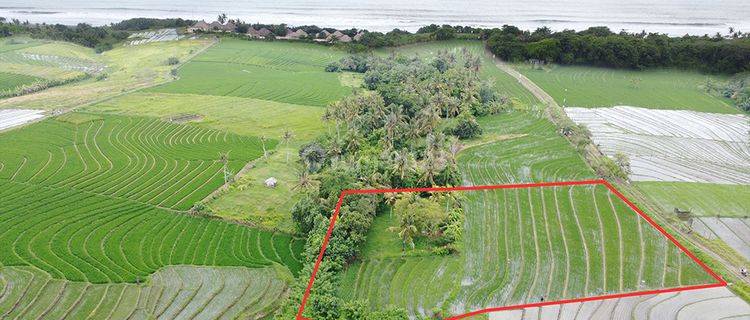 Ricefield Land With Ocean View 1