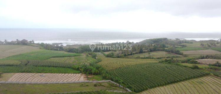 Ricefield Land Walking Distance To The Beach 1