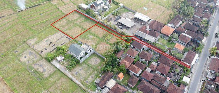 Medium Land Nyanyi Good For Villa With Rice Field View 1