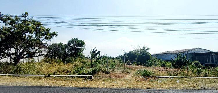 Tanah Murah Jln Raya Benjeng Akses Kontainer Cocok Utk Pabrik Gudang Dekat Tol Dan Kota Surabaya 1