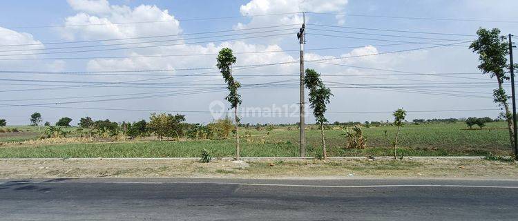 Tanah Murah Ukuran Kecil Strategis Nol Jl Raya Provinsi Mantup Cocok Untuk Tempat Usaha, Pertokoan Dan Industri  1