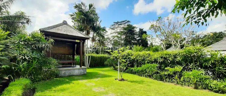 Cheap Villa With Large Garden And Beautiful View Near Ubud Bali 1