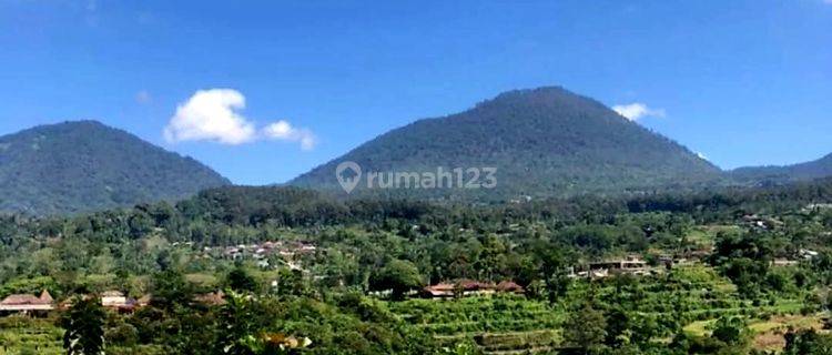 Tanah Murah Strategis Untuk Villa Di Baturiti Bedugul Bali 1