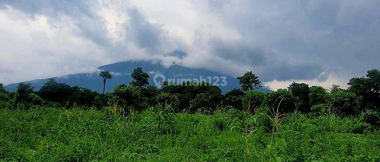 Tanah Murah View Gunung Dan Laut Di Tulamben Karang Asem Bali Cocok Untuk Villa Resort Dan Hotel 1