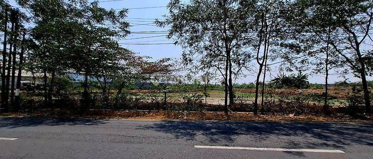 Tanah Strategis Jl Raya Cerme Akses Kontainer Dekat Tol Dan Surabaya Cocok Untuk Pabrik Gudang 1