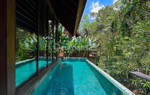 Investasi Rumah Villa Keren View Hutan Baru Gress Di Ubud Bali 1