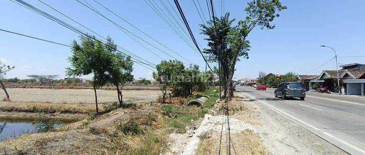 Tanah Murah Nol Jl Raya Provinsi Dekat Kota Gresik Dan Tol Cocok Untuk Pabtik Gudang Dan Trmpat Usaha  1