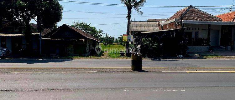 Dijamin Murah Tanah Nol Jalan Raya Kraton Dekat Per Dan Tol Pasuruan Cocok Utk Gudang Pabrik 1