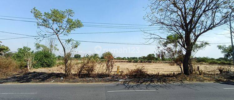 Tanah Murah Kawasan Industri Jln Raya Benjeng Cocok Utk Pabrik Gudang Dekat Surabaya 1