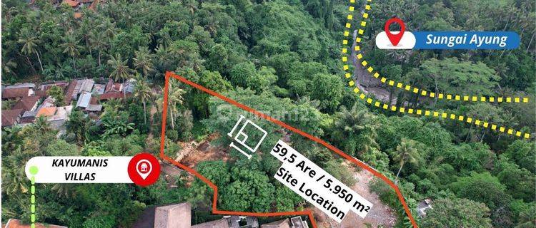 Cheap Land In Sayan Ubud Bali With Forest, River And Mountain View Suitable For Investment And Hotel Business 1