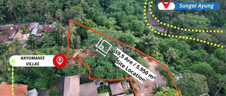 Tanah Premium View Hutan Dan Sungai Di Sayan Ubud Bali 1