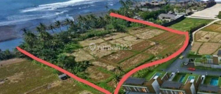 Tanah Murah Tepi Pantai Ketewel Strategis Dekat Sanur Bali 1