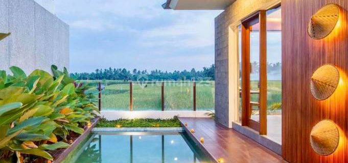 Villa Cantik Siap Huni Dg View Sawah Di Lodtunduh Ubud Bali  1