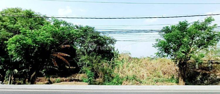 Tanah Komersial Murah Raya Provinsi Sby Malang Area Pandaan Cocok Untuk Gudang Pabrik Dan Tempat Usaha 1