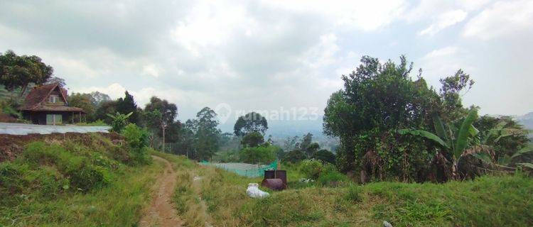 Tanah Luas Murah Mainroad Raya Tangkuban Perahu Lembang 1