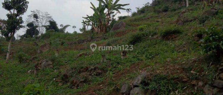 Tanah padat di mainroad jalan raya leles tarogong banyuresmi garut 1