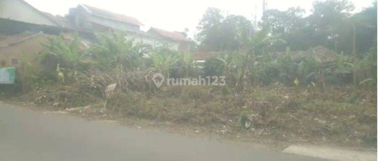 Tanah Murah Di Mainroad Jalan Cihampelas Cililin Bandung Barat 1