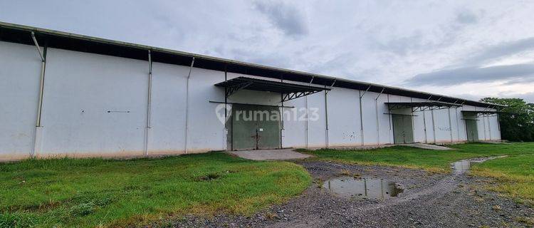 Gudang luas bebas banjir di Bypass Padang 1