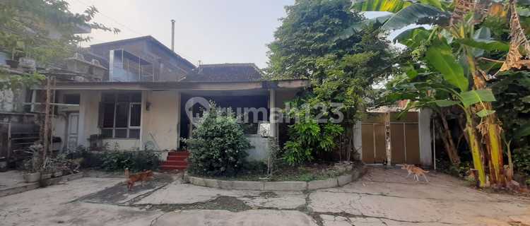 Spacious House in the City Center, Affordable 1