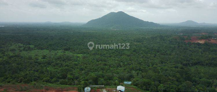 Tanah SHM Lintas Barat Km26, Bintan, View Gunung Bintan 1