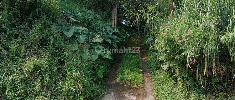 Tanah Kebun Dengan View Kota Cimahi Cocok Untuk Villa 1