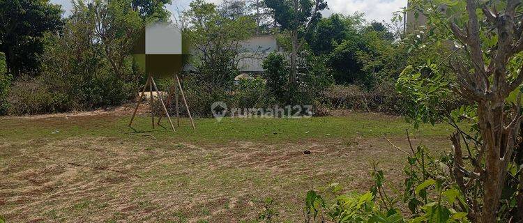 LAND IN KUTUH BADUNG AREA, YELLOW ZONE, CAN BE USED TO BUILD A VILLA 1