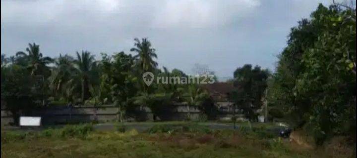 LAND FOR SALE IN SELEMADEG JL RAYA DENPASAR GILIMANUK 1