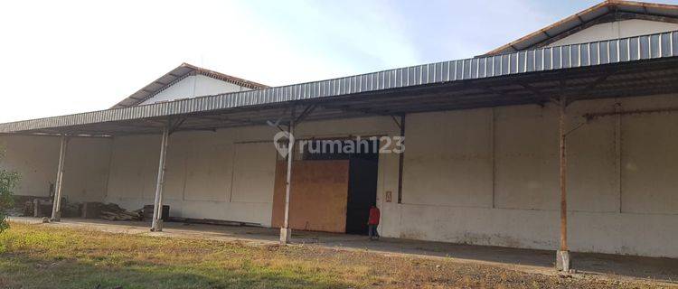 Dijual Gudang Dan Tanah Kabuh Jombang Lokasi Strategis  1