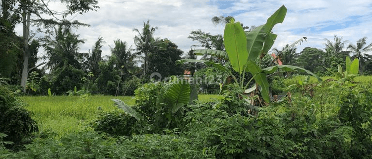 Premium Land 12.88Are Located Tirta Tawar Ubud 1