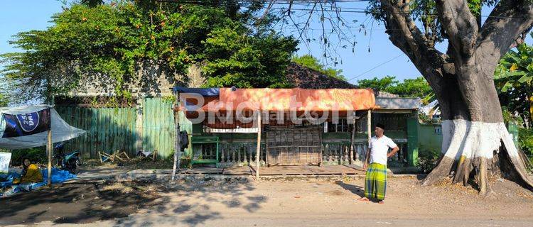 TANAH KOMERSIAL DAERAH DESA KRATON PASURUAN 1