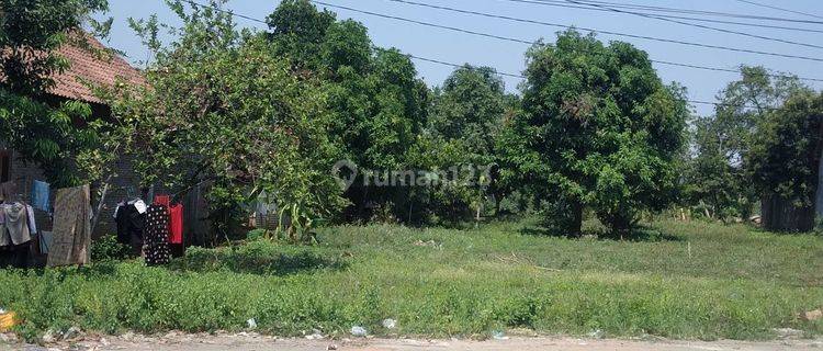 Tanah Jalan Raya Kaliwungu Boja , Kaliwungu Kendal 1