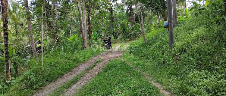 Tanah Cocok Untuk Perumahan Di Area Pengasih Kulon Progo Yogya 1