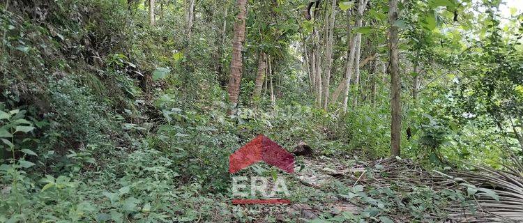 Tanah Murah SHMP Dekat Bandara YIA Area Pengasih Kulon Progo 1