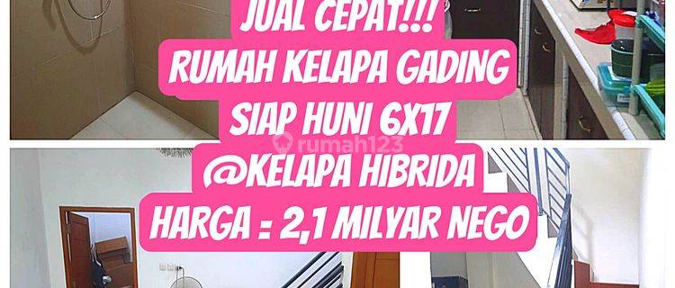 Jual Cepat Rumah Kelapa Gading Siap Huni 6x17 Kelapa Hibrida 1