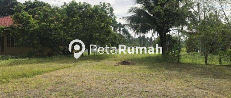 Dijual Tanah Jalan Karya Jaya chinty  1