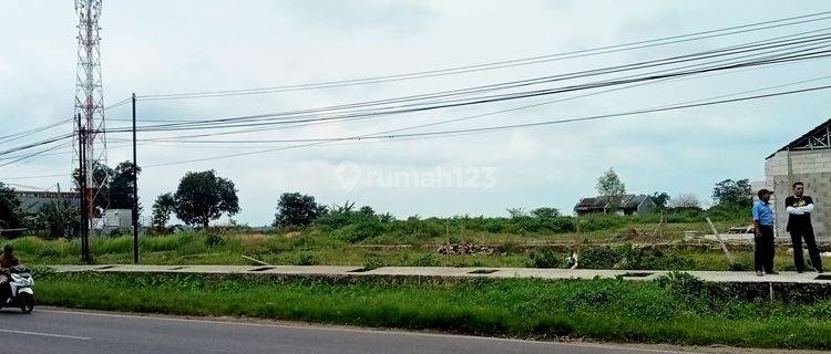 Tanah di Pagaden Subang, Subang 14.000 m² 1