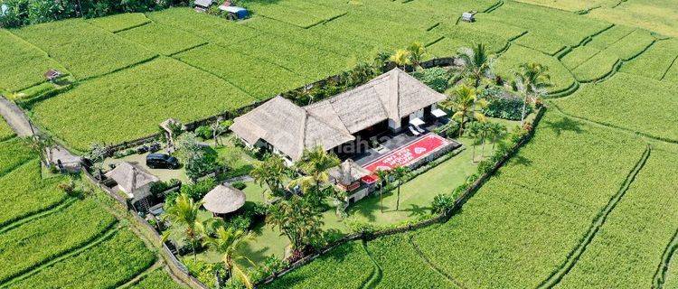 TURUN HARGA...Beautiful villa with Rice field view , only 20 minutes to Central Ubud at Tegalalang Ubud  1